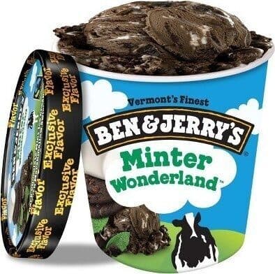 Minter wonderland dark chocolate mint ice cream