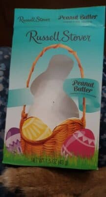 Peanut butter covered on milk chocolate