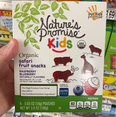 Raspberry blueberry kids organic safari fruit snacks