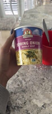 Spring Onion Noodle Soup