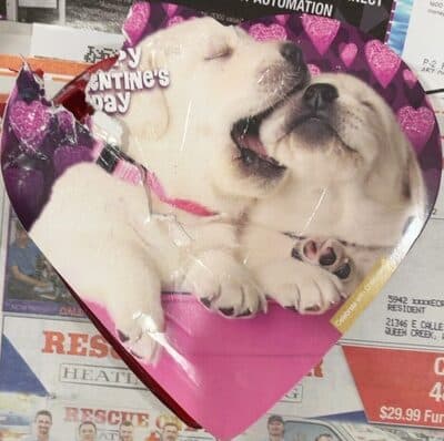 Elmer Chocolate Valentines Day Pack